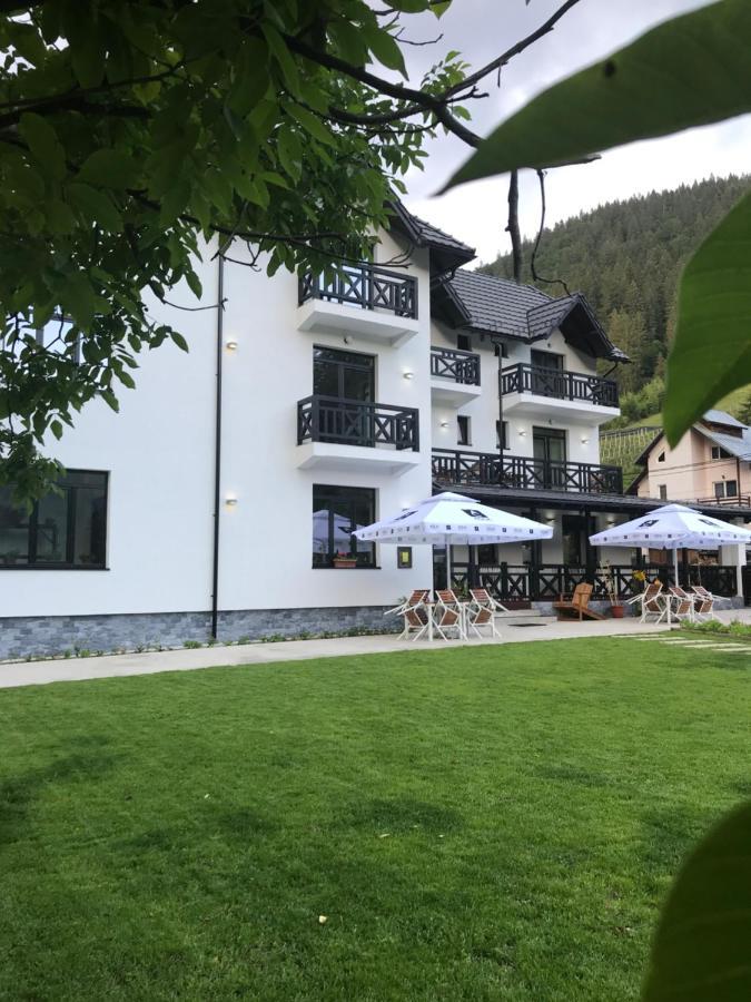 Pensiunea Edelweiss วอยนาซา ภายนอก รูปภาพ