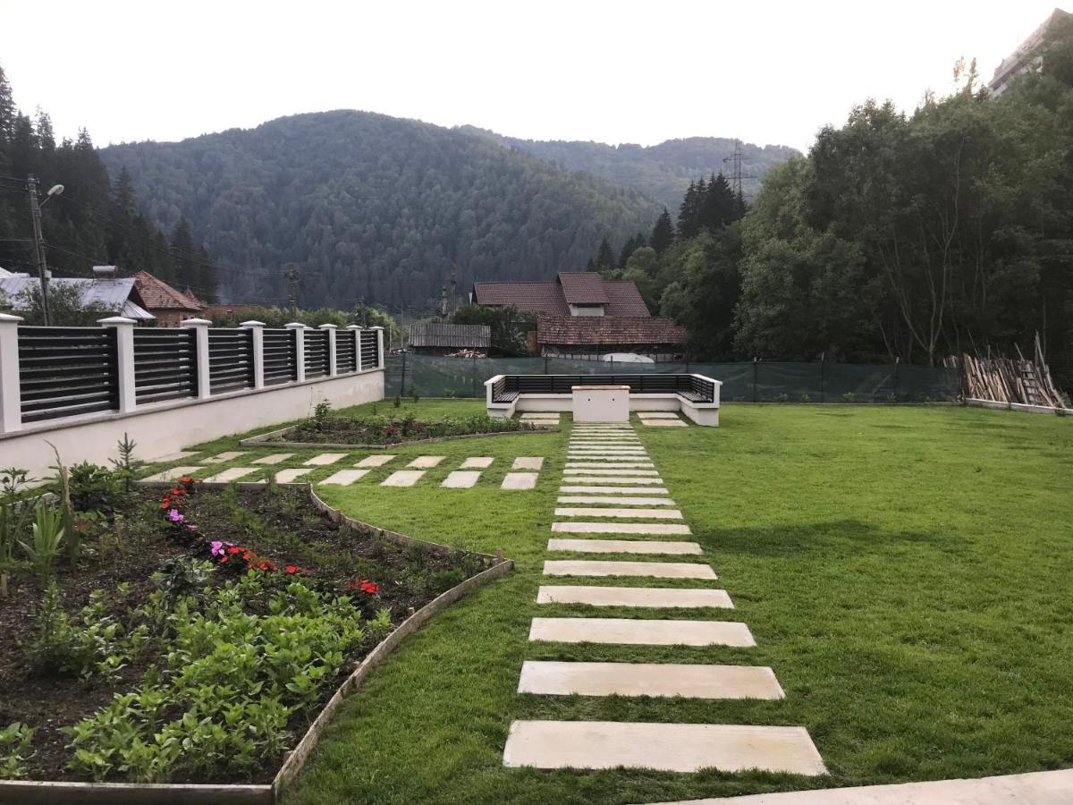 Pensiunea Edelweiss วอยนาซา ภายนอก รูปภาพ