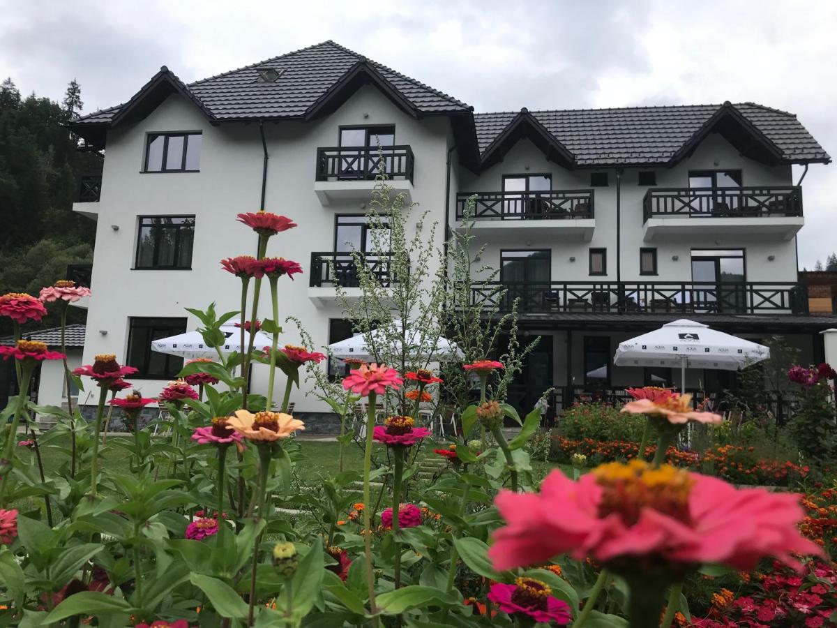 Pensiunea Edelweiss วอยนาซา ภายนอก รูปภาพ
