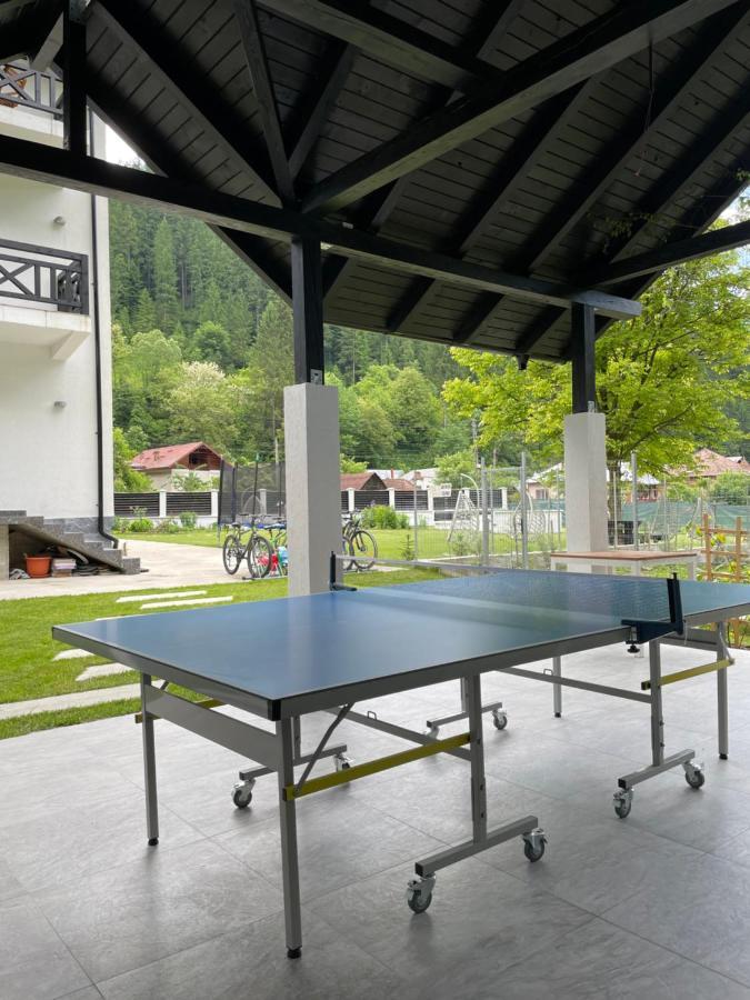 Pensiunea Edelweiss วอยนาซา ภายนอก รูปภาพ