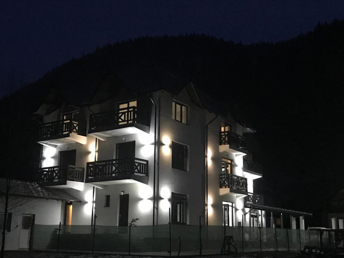 Pensiunea Edelweiss วอยนาซา ภายนอก รูปภาพ
